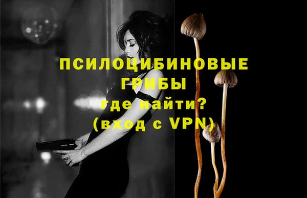 тгк Беломорск